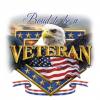 VETERANS HOW TO STOP THE PAIN BODY OR FINANCIAL offer pain