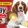 Pet Pain Away - All Natural Pain Relief for your Cat or Dog offer pain