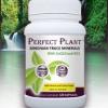 Perfect Plant Minerals with Magzuma offer health