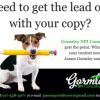 Need to get the lead out  with your copy?  Picture