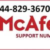 McAfee Customer Service Number Picture